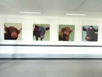 Paintings of inquisitive cows faces on greens into blues backgrounds