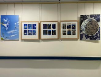 A section of a gallery showing 5 pictures, the first is a large flower on a sky background, followed by 3 sectional pictures and finally a large image of a blue and white floral cup on a blue and white background
