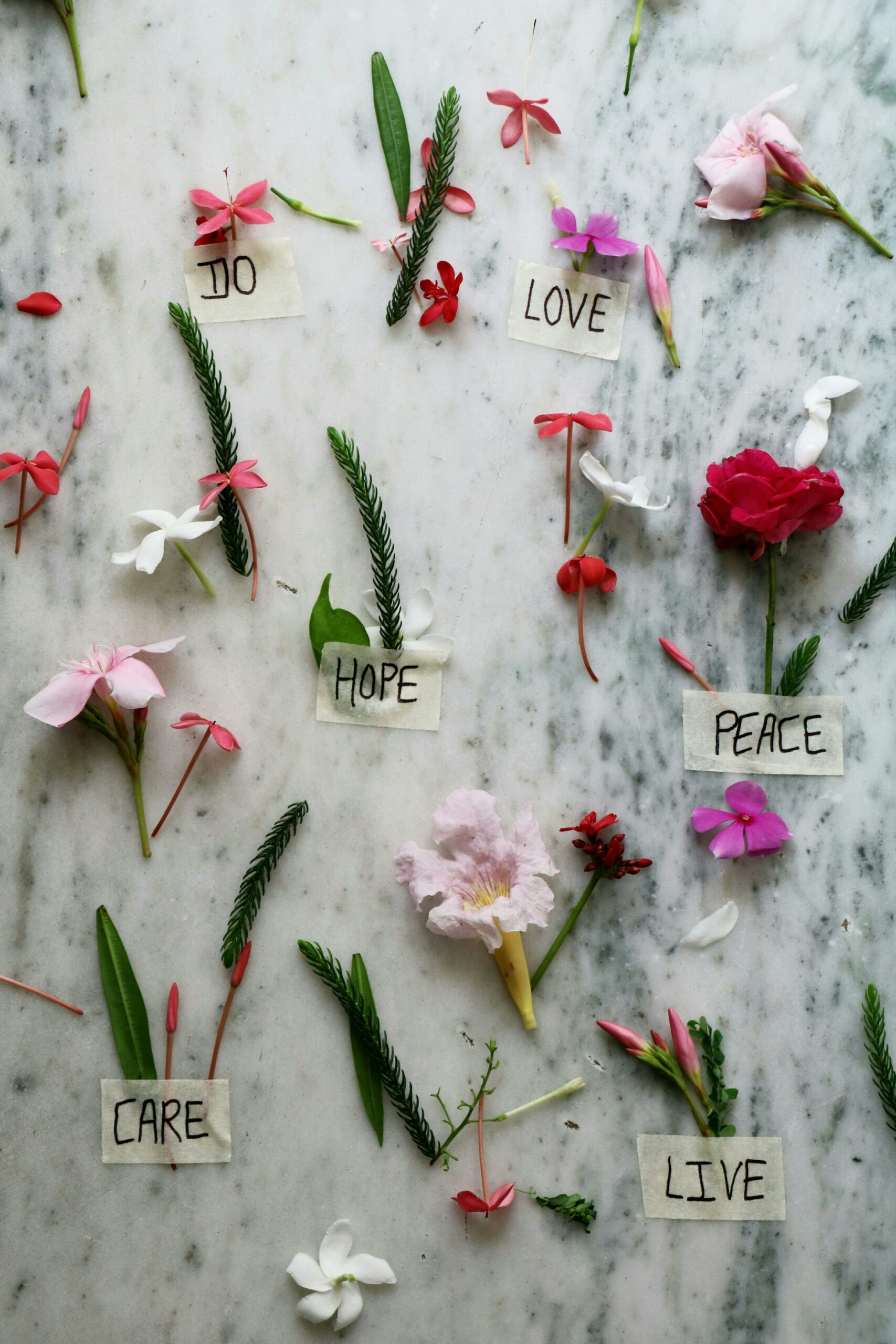 flowers on a pin board with words of hope