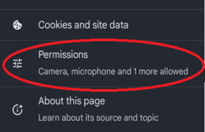 Image shows a list of three options from a settings menu. The top one is "cookies and site data". The middle one is "Permissions". The bottom one is "about this page". The middle option of the three has been circled in red.