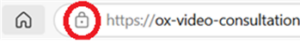 Image shows the address bar from a web browser. Circled in red, there is a symbol of a closed padlock.