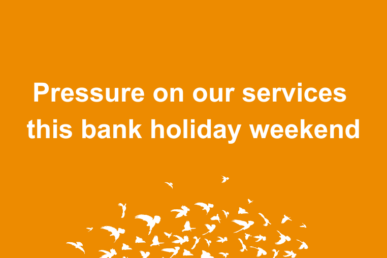 Graphic saying Pressures on our services this bank holiday weekend