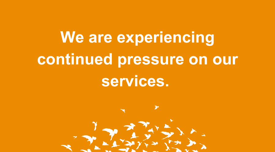 Continued pressure on our services