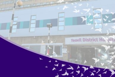 A faded photo of Yeovil Hospital with a graphic of birds and dark blue stripe on it.