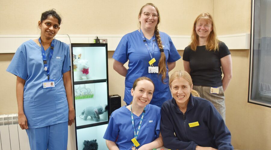 Children in Somerset are getting great audiology care, say inspectors